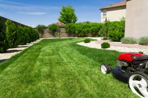 JT Madison Landscaping Georgetown MA